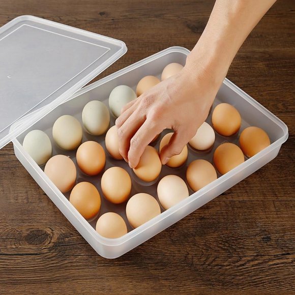 Egg Holder/Container - Picture 4 of 7